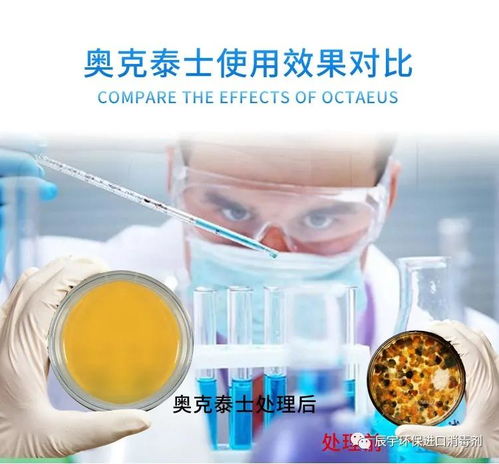制药厂与保健食品车间 如何选择最有效的杀孢子剂？